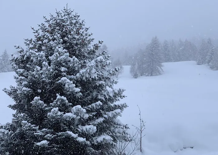 La Stua Di Anna, Vista Olimpionica A 5 Minuti Da Terme E Piste Di Sci * Oga